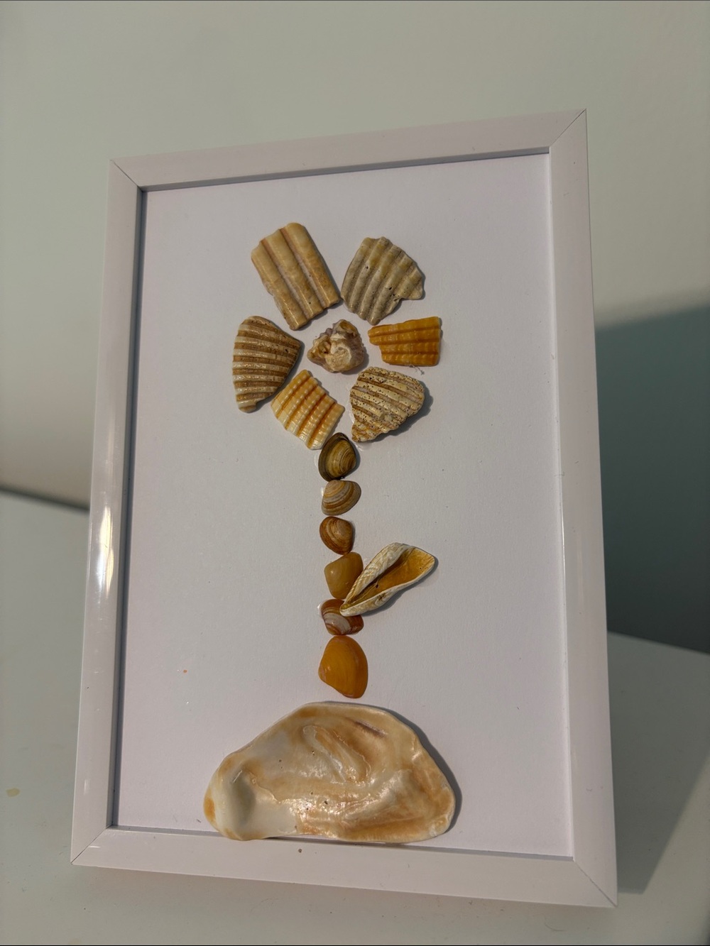 Handmade Seashell Flower Wall Art - White Frame, Natural Shells
